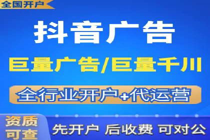 网络推广与竞价策略实战案例